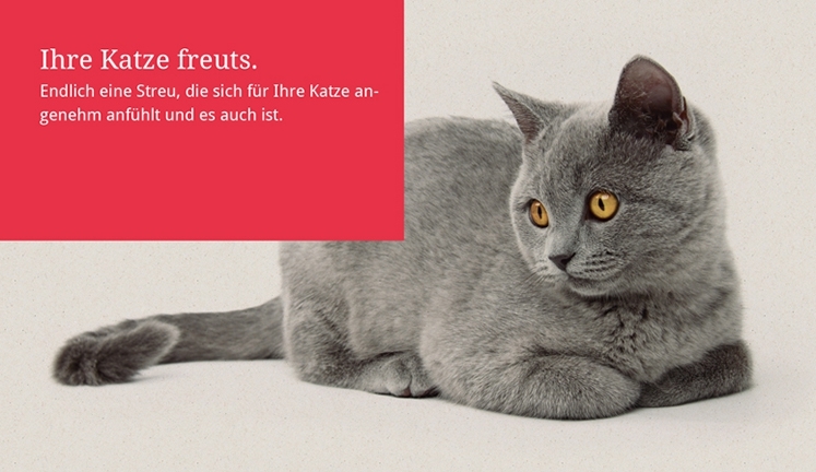 Ihre Katze freuts.